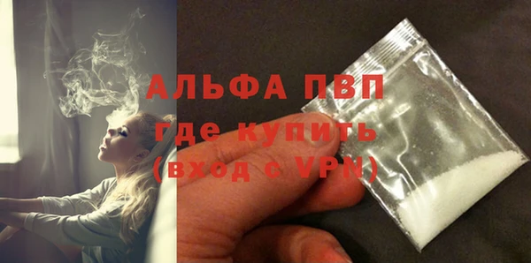 спиды Богородск