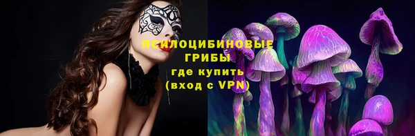 спиды Богородск