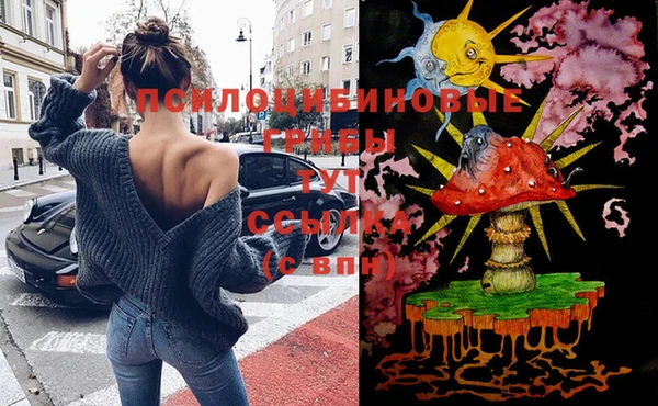 спиды Богородск
