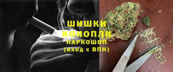 спиды Богородск