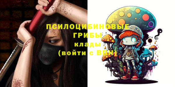 мдма Богданович