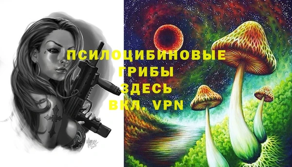 мдма Богданович