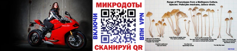 Псилоцибиновые грибы ЛСД  Нарткала 